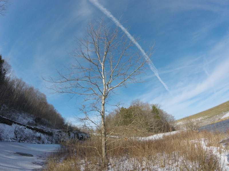 Illustration for article titled Another Dam day, more dam pictures.